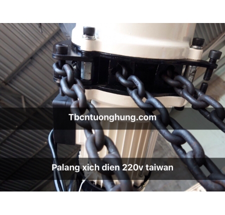 PALANG XÍCH ĐIỆN 500KG KIO TYPE 220V TAIWAN