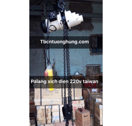 PALANG XÍCH ĐIỆN 1000KG KIO TYPE 220V TAIWAN