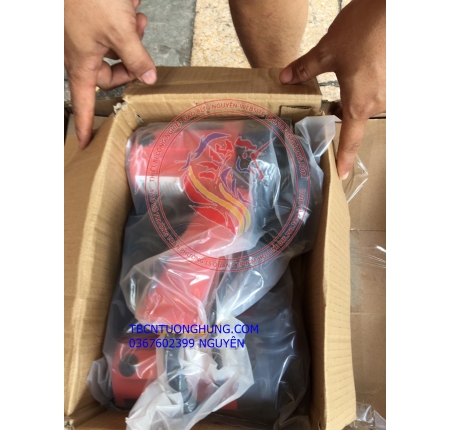 Bơm dầu điện thùng phuy hang run 700w