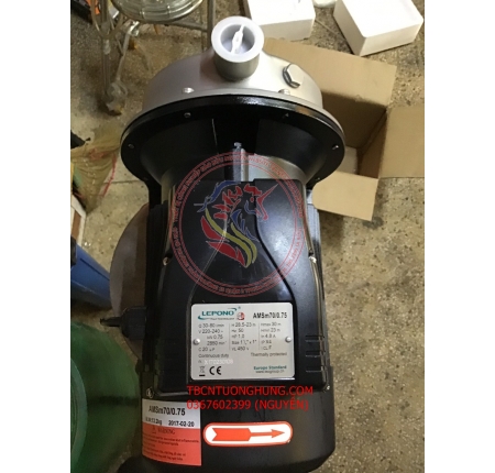 MÁY BƠM NƯỚC INOX LEPONO AMSM70/0.75 1HP TRỤC NGANG 220V