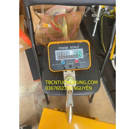 Cân treo điện tử OCS Nitto China
