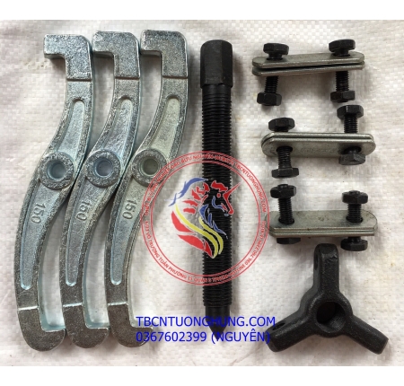 CẢO 3 CHẤU ASAKI 