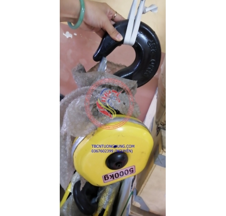 MÓC CẨU ĐÔI PALANG CÁP ĐIỆN TAIWAN 