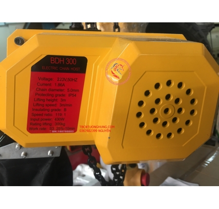 Palang xích điện 300kg BDH300 220v