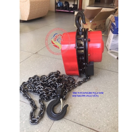 PALANG XÍCH ĐIỆN DHS 1 TẤN TRUNG QUỐC 