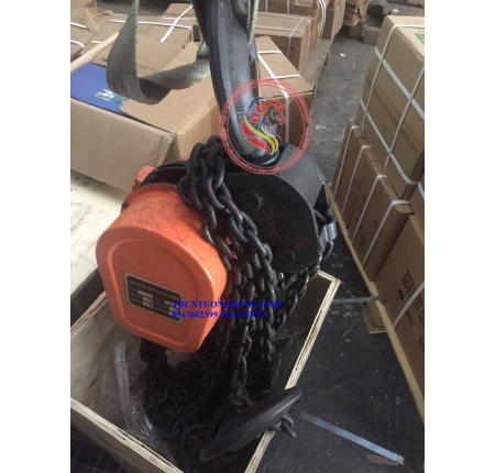 PALANG XÍCH ĐIỆN DHS 10 TẤN TRUNG QUỐC