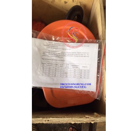 PALANG XÍCH ĐIỆN DHS 1 TẤN TRUNG QUỐC 