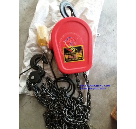 PALANG XÍCH ĐIỆN DHS 2 TẤN TRUNG QUỐC