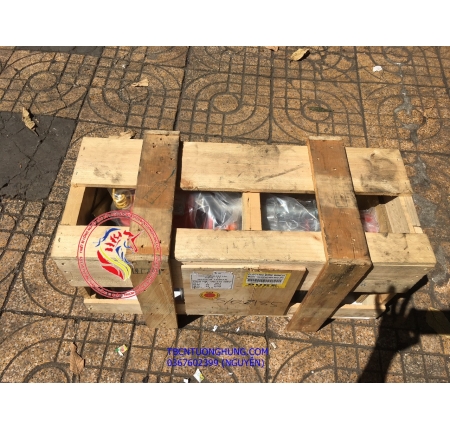 TỜI ĐIỆN DUKE WINCH DU 210 500KG TAIWAN