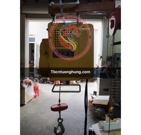 TỜI ĐIỆN TREO MINI 150KG TAIWAN