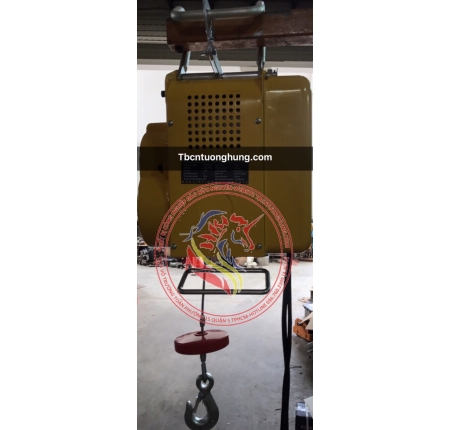 TỜI ĐIỆN TREO MINI 300KG TAIWAN