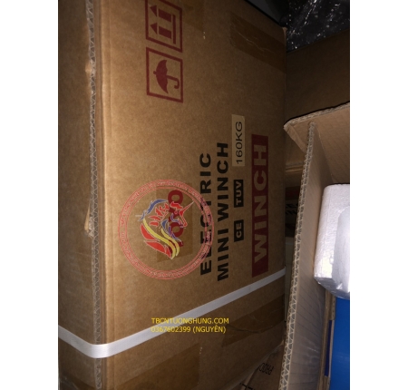 TỜI ĐIỆN TREO TOYO 160KG S160 CHINA (TRUNG QUỐC)