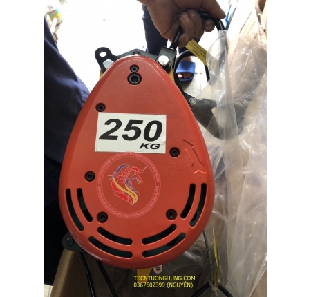 TỜI ĐIỆN TREO LE EASY 250KG TAIWAN