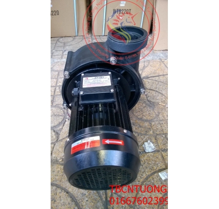 MÁY BƠM NƯỚC BIỂN TAIWAN 2HP